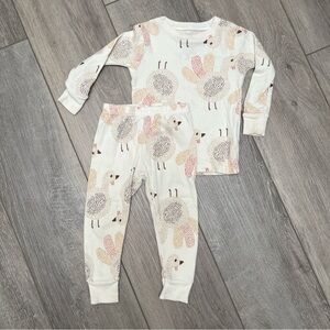 Seasonal Turkey Pajama Set - 18mths